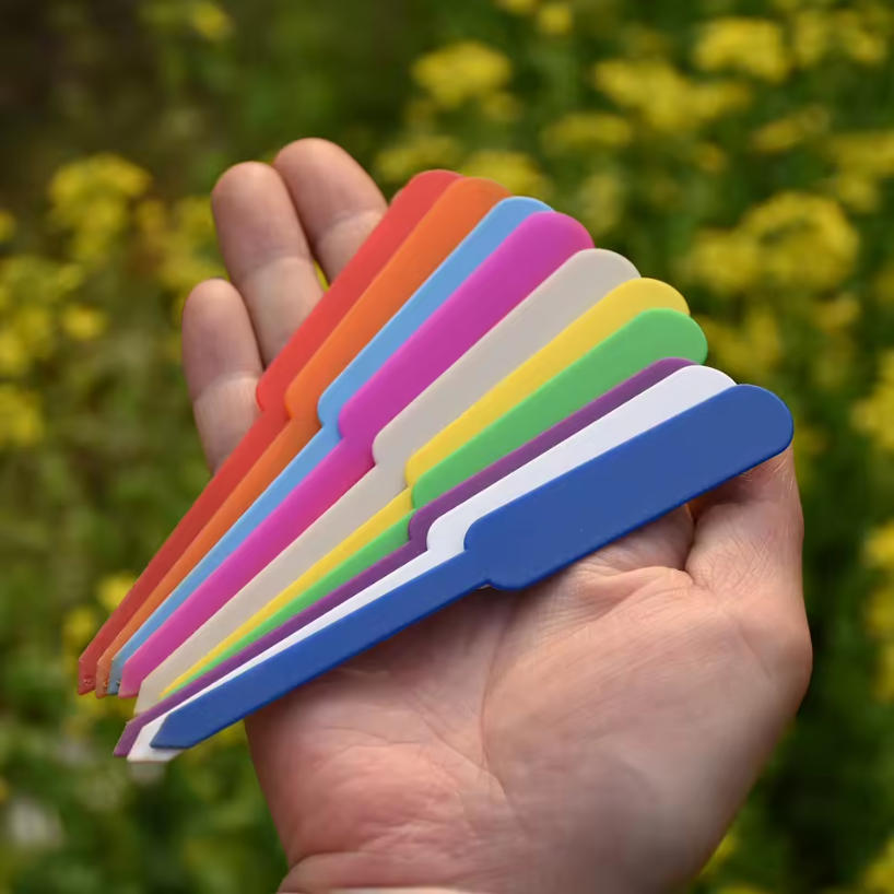 100PCS Waterproof Garden Plant - مراجعة Embroidery Writing وسعره