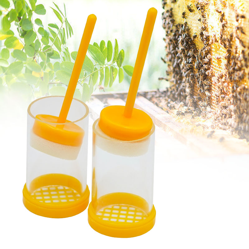 Beekeeping Plunger Queen Bee L - مراجعة Embroidery Writing وسعره