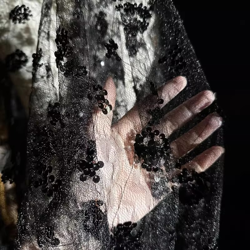 Lace Flower Embroidery Sequine - مراجعة Embroidery Net Dress وسعره