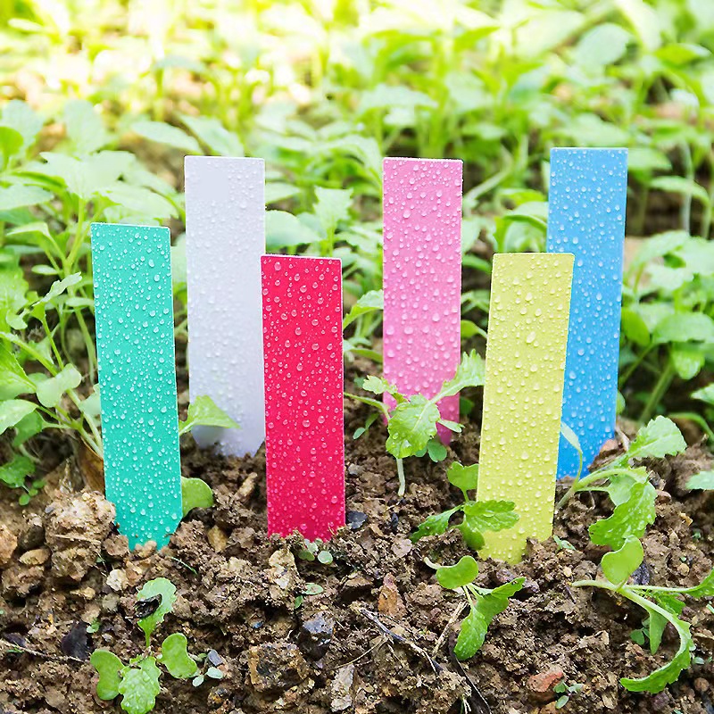 100Pcs Garden Plant Labels Pla - مراجعة Embroidery Writing وسعره