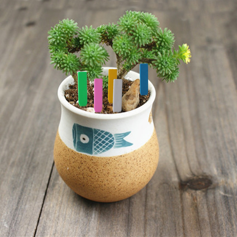 100Pcs Garden Plant Labels Pla - مراجعة Embroidery Writing وسعره