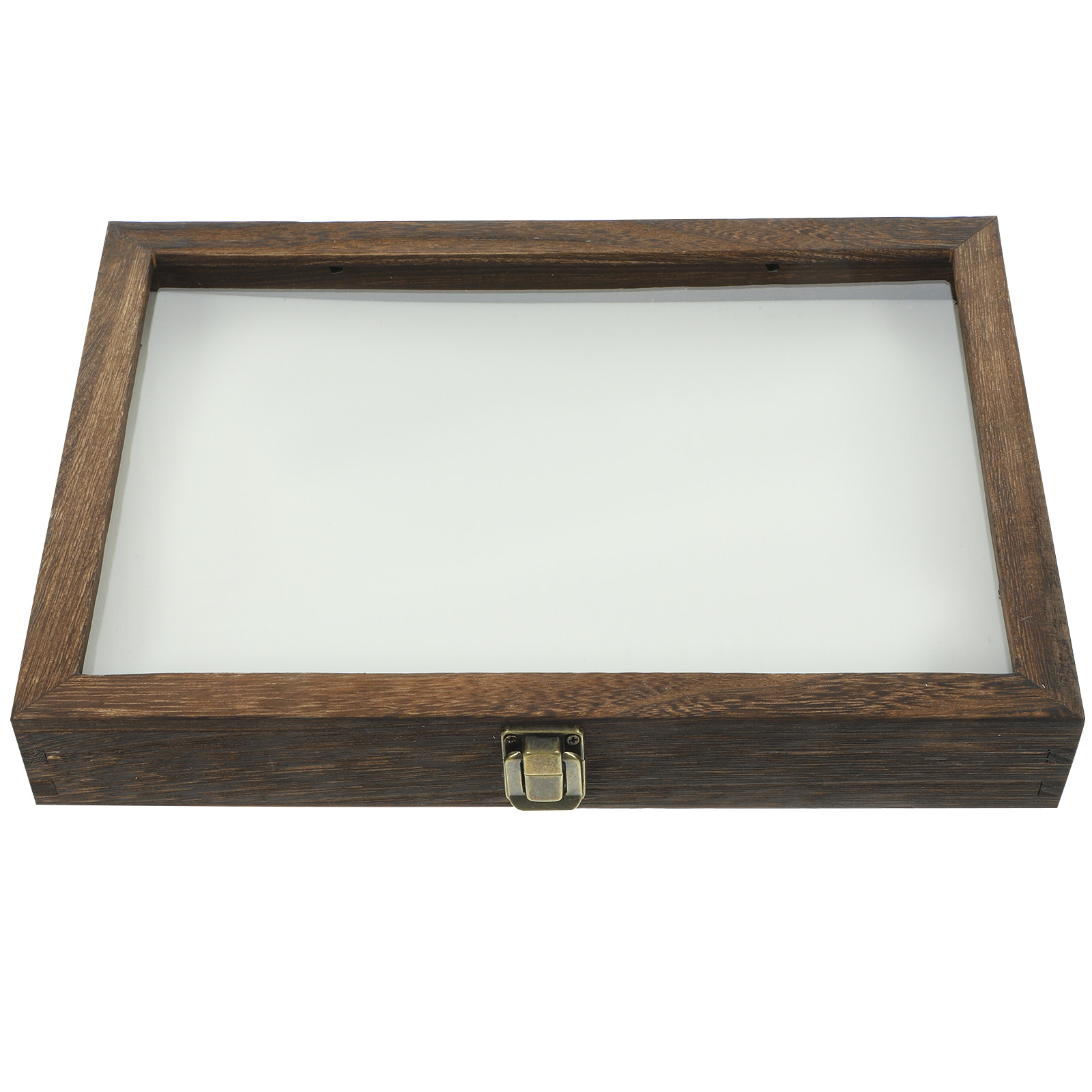 1Set Wood Specimen Storage Box - مراجعة Frame Display Wood وسعره